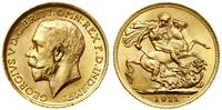 1 funt (1 sovereign) 1911, Londyn, złoto 7.97 g,