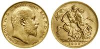 1 funt (1 sovereign) 1909, Londyn, złoto 7.97 g,