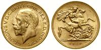 1 funt (1 sovereign) 1929 P, Perth, złoto 7.99 g
