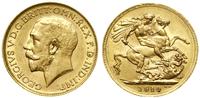 1 funt (1 sovereign) 1919 C, Ottawa, złoto 7.99 