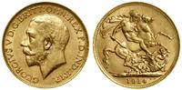 1 funt (1 sovereign) 1914 P, Perth, złoto 7.98 g