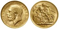 1 funt (1 sovereign) 1924 M, Melbourne, złoto 7.