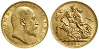 1 funt (1 sovereign) 1909, Londyn, złoto 7.98 g,