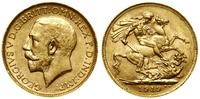 1 funt (1 sovereign) 1919 P, Perth, złoto 7.99 g
