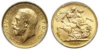 1 funt (1 sovereign) 1911 C, Ottawa, złoto ok. 7