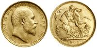 1 funt (1 sovereign) 1902 S, Sydney, złoto 7.99 