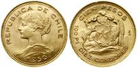 100 peso = 10 condores 1956, Santiago, złoto 20.