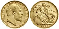 1 funt (1 sovereign) 1905 P, Perth, złoto 7.97 g