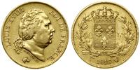 40 franków 1818 W, Lille, złoto 12.79 g, próby 9
