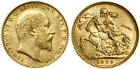 1 funt (1 sovereign) 1909 S, Sydney, złoto 7.98 